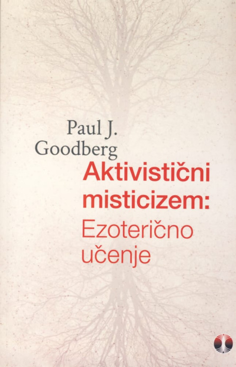 Aktivistični misticizem