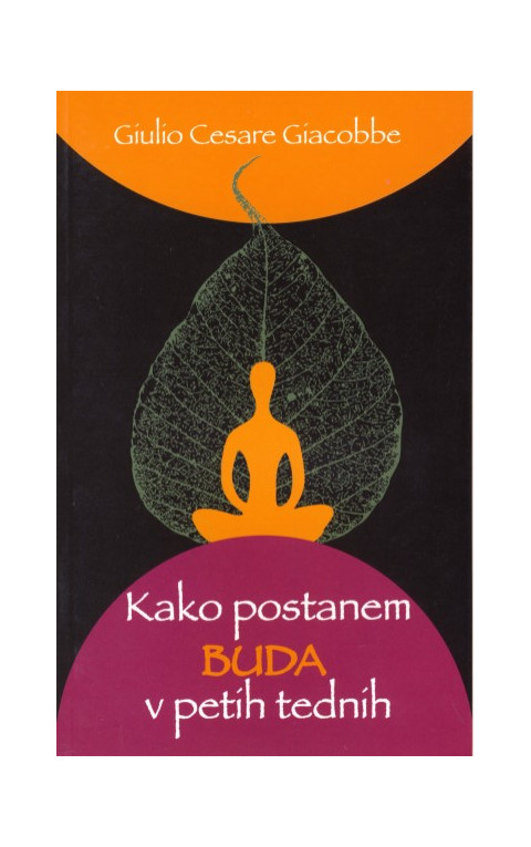 Kako postanem Buda v petih tednih
