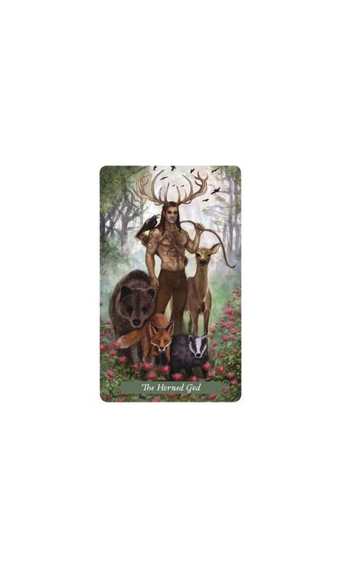 Karte The Green Witch Tarot