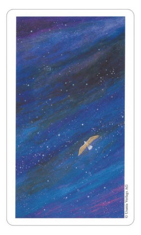 Karte Vision Quest Tarot