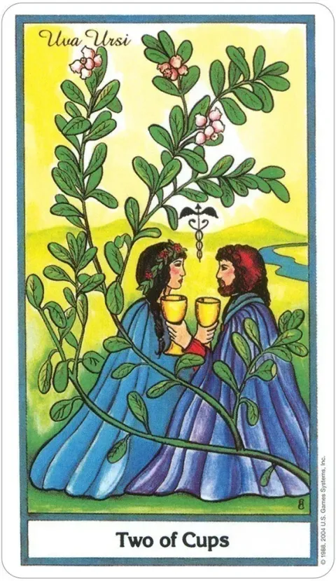 Karte The Herbal Tarot