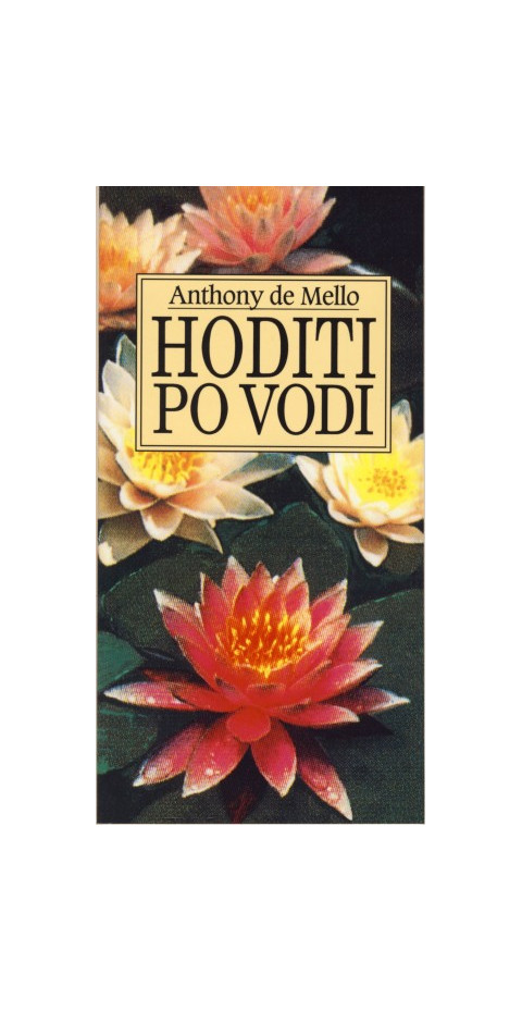 Hoditi po vodi
