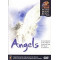DVD Angels - An introduction to the world od Angels and their help in our daily lives