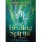 Orakeljske karte The Healing Spirits Oracle