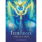 Teen Angel oracle cards