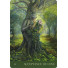 Karte Nature's Whispers Oracle cards