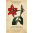Karte Botanical Inspirations