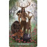 Karte The Green Witch Tarot