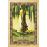Orakeljske karte Celtic Tree Oracle