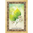Orakeljske karte Celtic Tree Oracle