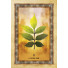 Orakeljske karte Celtic Tree Oracle