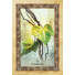 Orakeljske karte Celtic Tree Oracle