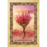 Orakeljske karte Celtic Tree Oracle