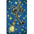 Everyday Witch Tarot Card