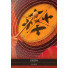 Karte Shamanic Medicine Oracle Cards