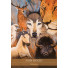 Karte Shamanic Medicine Oracle Cards
