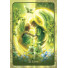Orakeljske karte TeenAngel Oracle Cards