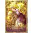 Orakeljske karte TeenAngel Oracle Cards