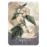 Orakeljske karte Magickal Herb Oracle