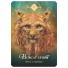Orakeljske karte The Spirit Animal Oracle