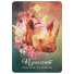 Orakeljske karte The Spirit Animal Oracle