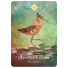 Orakeljske karte The Spirit Animal Oracle