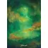 Orakeljske karte The Healing Spirits Oracle